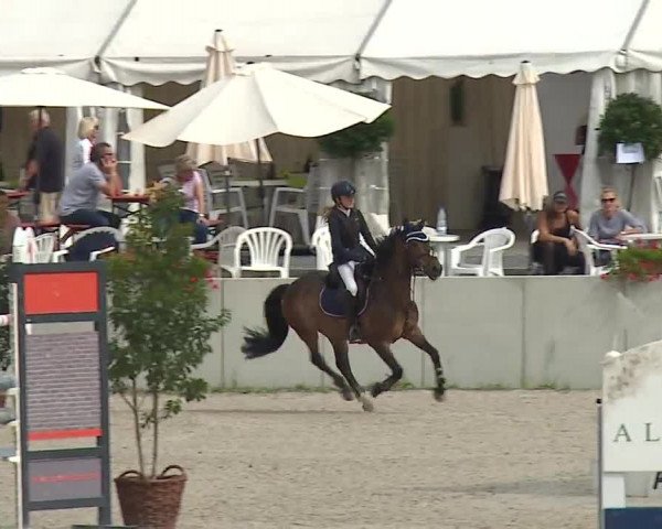 Reitturnier Grafenrheinfeld 2019