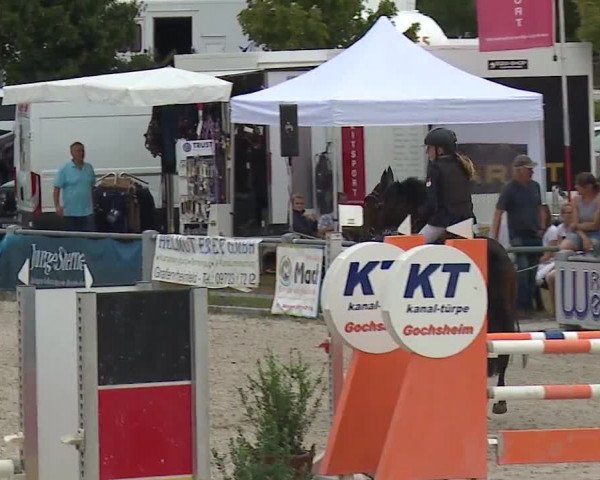 Reitturnier Grafenrheinfeld 2019