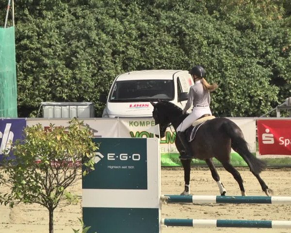 Reitturnier Oberderdingen 2019