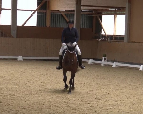Reitturnier Grafenrheinfeld 2019