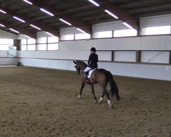 Reitturnier Waltrop 2019