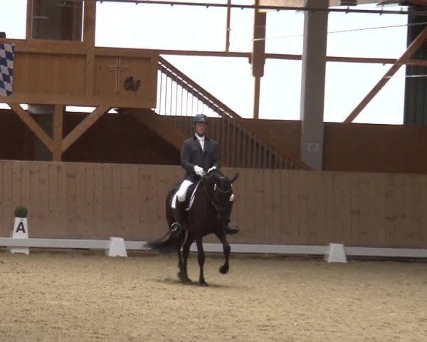 Reitturnier Grafenrheinfeld 2019