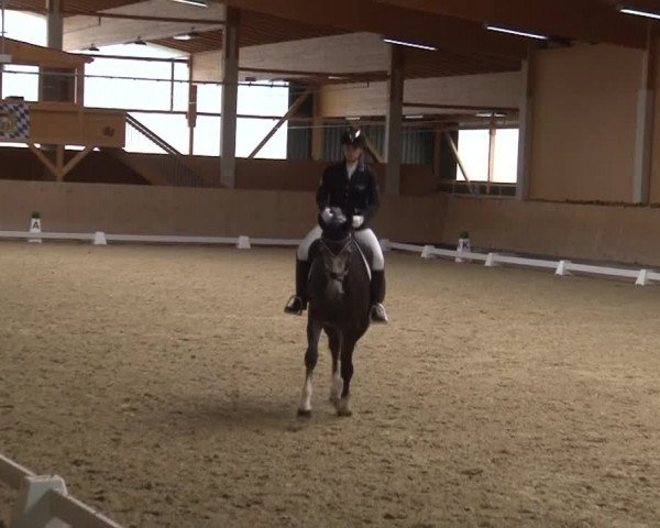 Reitturnier Grafenrheinfeld 2019