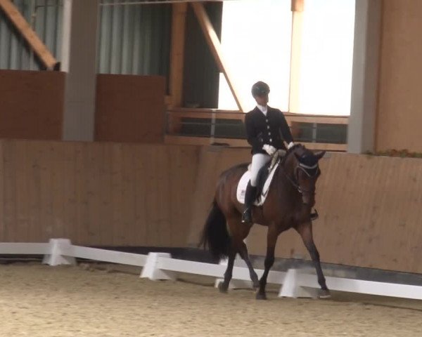 Reitturnier Grafenrheinfeld 2019