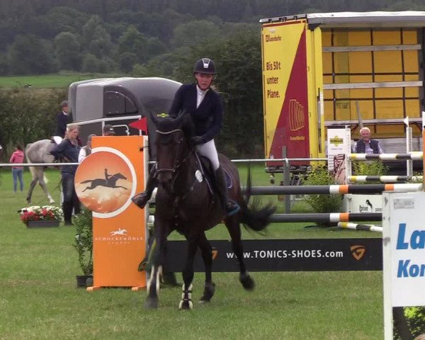 Reitturnier Behrendorf 2019