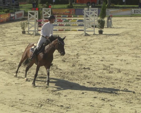 Reitturnier Oberderdingen 2019