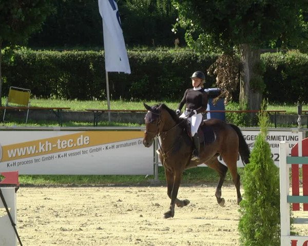 Reitturnier Oberderdingen 2019