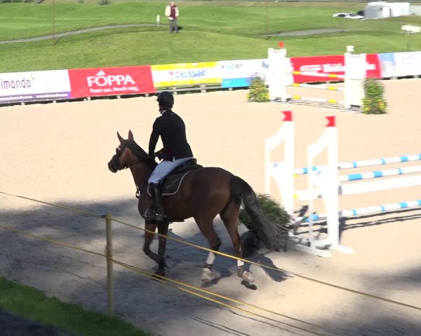 Reitturnier Zuoz 2019