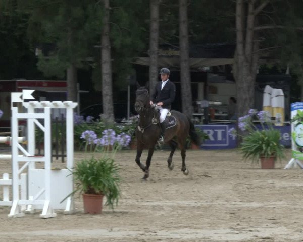 Reitturnier Waltrop 2019