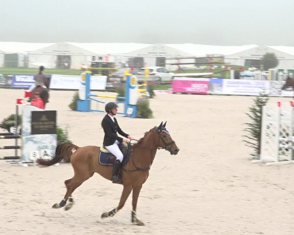 Reitturnier Zuoz 2019