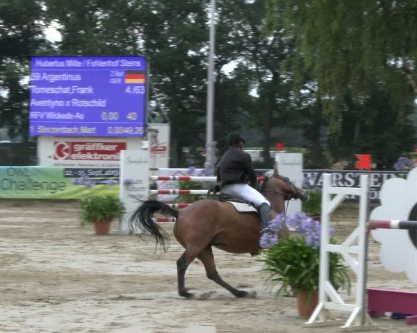 Reitturnier Waltrop 2019