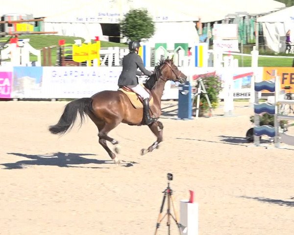 Reitturnier Zuoz 2019