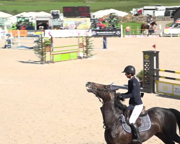 Reitturnier Zuoz 2019