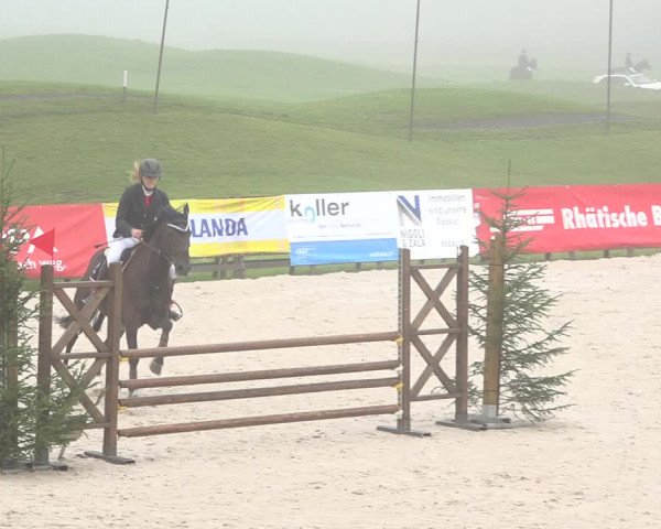 Reitturnier Zuoz 2019