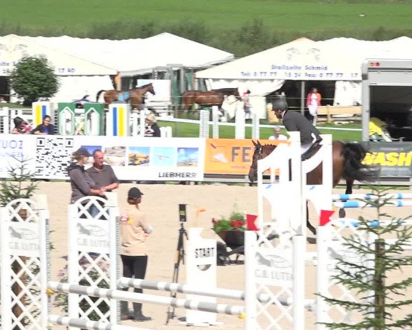 Reitturnier Zuoz 2019