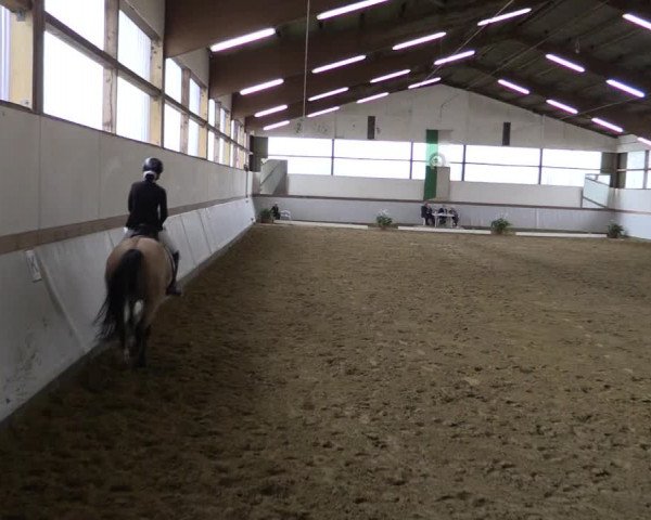 Reitturnier Waltrop 2019