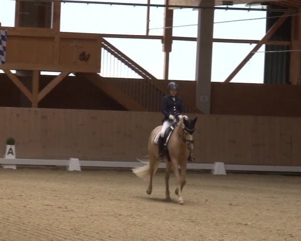 Reitturnier Grafenrheinfeld 2019
