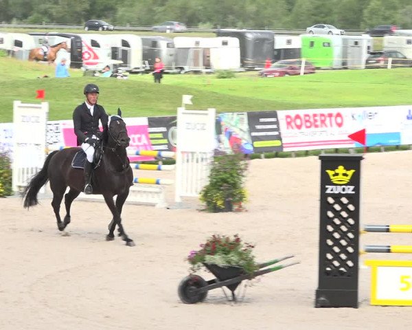 Reitturnier Zuoz 2019