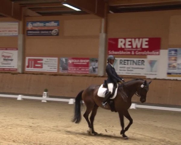 Reitturnier Grafenrheinfeld 2019