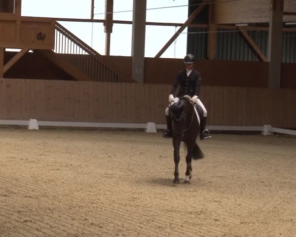Reitturnier Grafenrheinfeld 2019