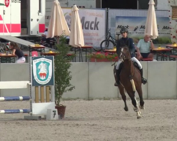 Reitturnier Grafenrheinfeld 2019
