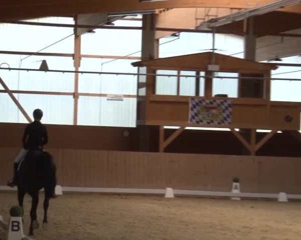 Reitturnier Grafenrheinfeld 2019