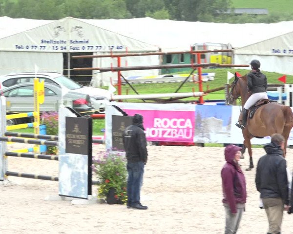 Reitturnier Zuoz 2019