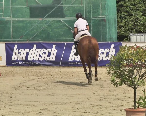 Reitturnier Oberderdingen 2019