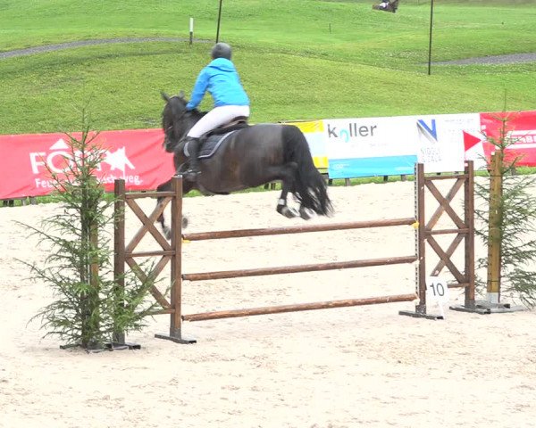 Reitturnier Zuoz 2019