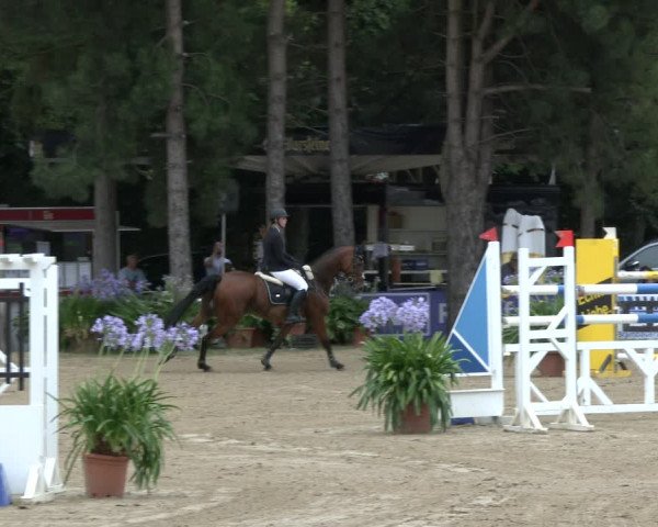 Reitturnier Waltrop 2019