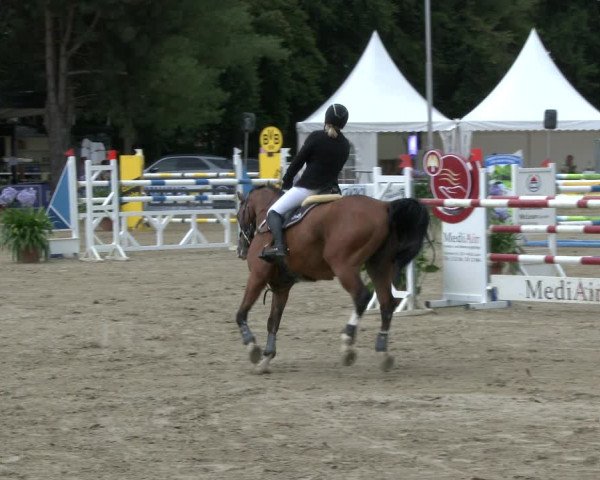 Reitturnier Waltrop 2019