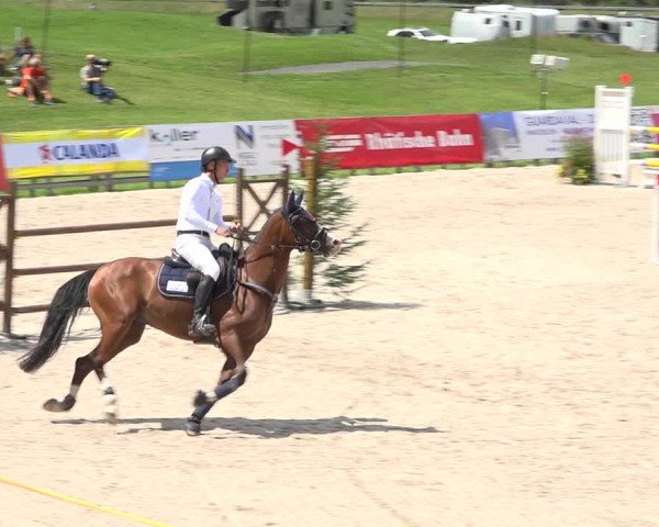 Reitturnier Zuoz 2019