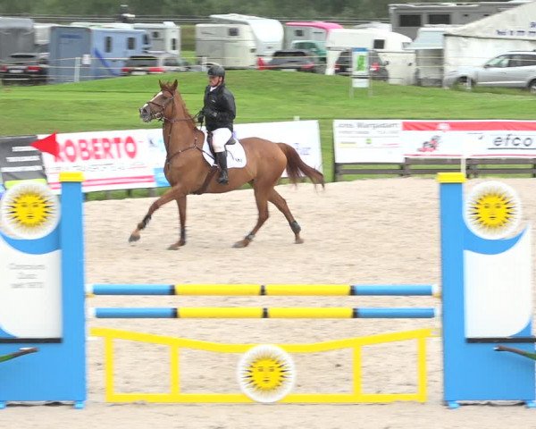 Reitturnier Zuoz 2019