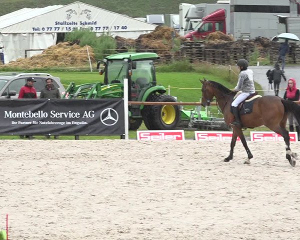 Reitturnier Zuoz 2019