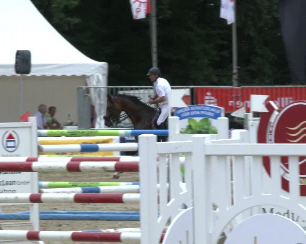 Reitturnier Waltrop 2019