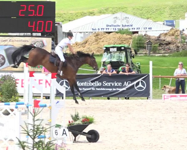 Reitturnier Zuoz 2019