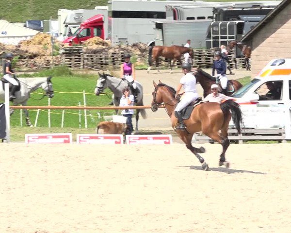 Reitturnier Zuoz 2019
