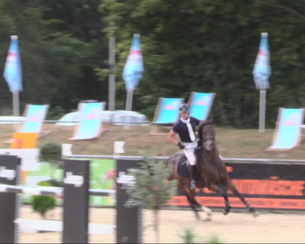 Reitturnier Görlitz 2019