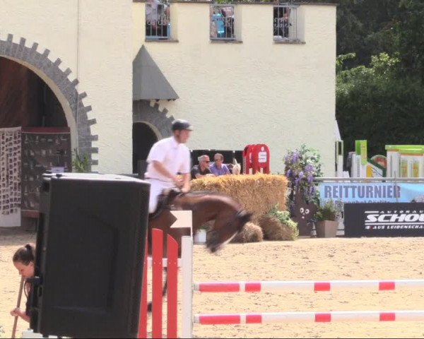 Reitturnier Görlitz 2019
