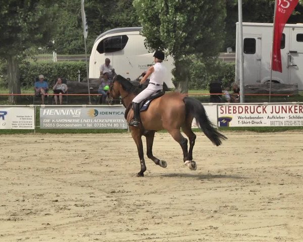 Reitturnier Oberderdingen 2019