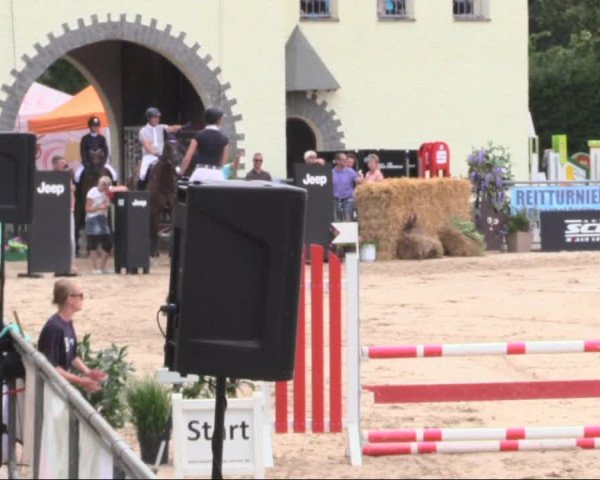 Reitturnier Görlitz 2019