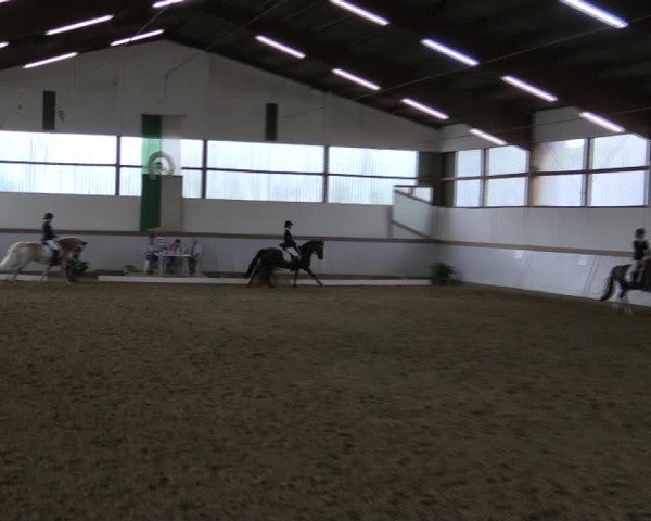 Reitturnier Waltrop 2019