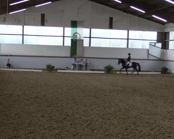 Reitturnier Waltrop 2019