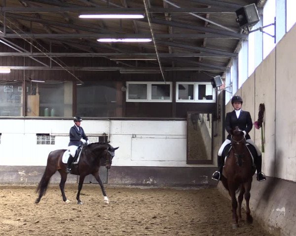 Reitturnier Ascheberg 2021