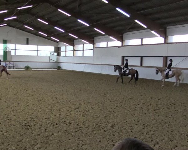 Reitturnier Waltrop 2019