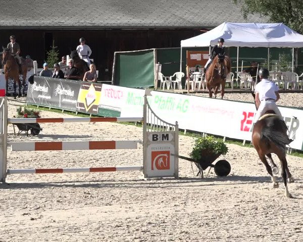 Reitturnier Zuoz 2019