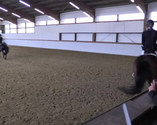 Reitturnier Waltrop 2019