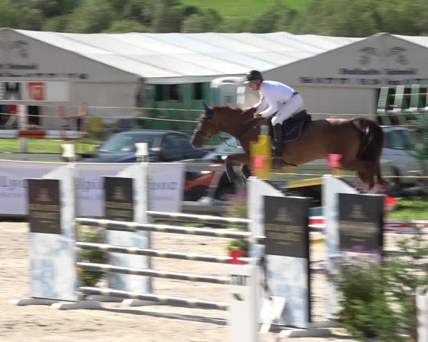 Reitturnier Zuoz 2019