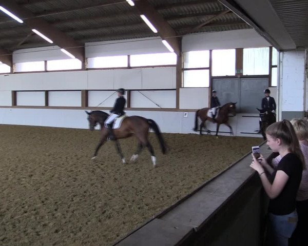 Reitturnier Waltrop 2019
