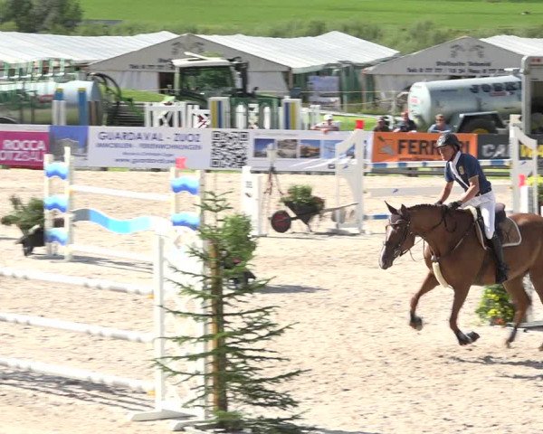 Reitturnier Zuoz 2019